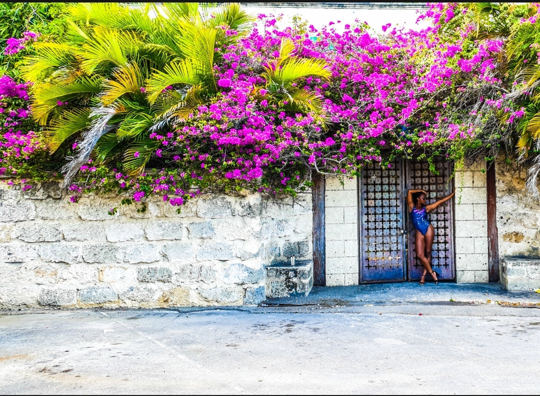 The Mysterious Bougainvillea-Covered Door One-Piece Swimsuit