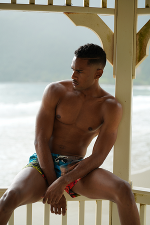 Maracas Lookout 'The View Behind You' Swim Shorts